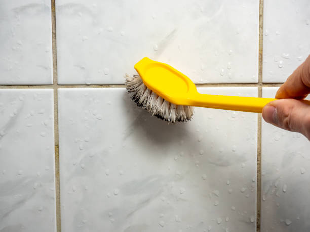 Best Bathroom Mold Remediation in Holden Heights, FL